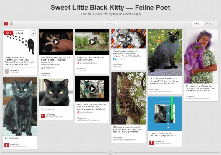 Screen grab of SLBK Pinterest Board