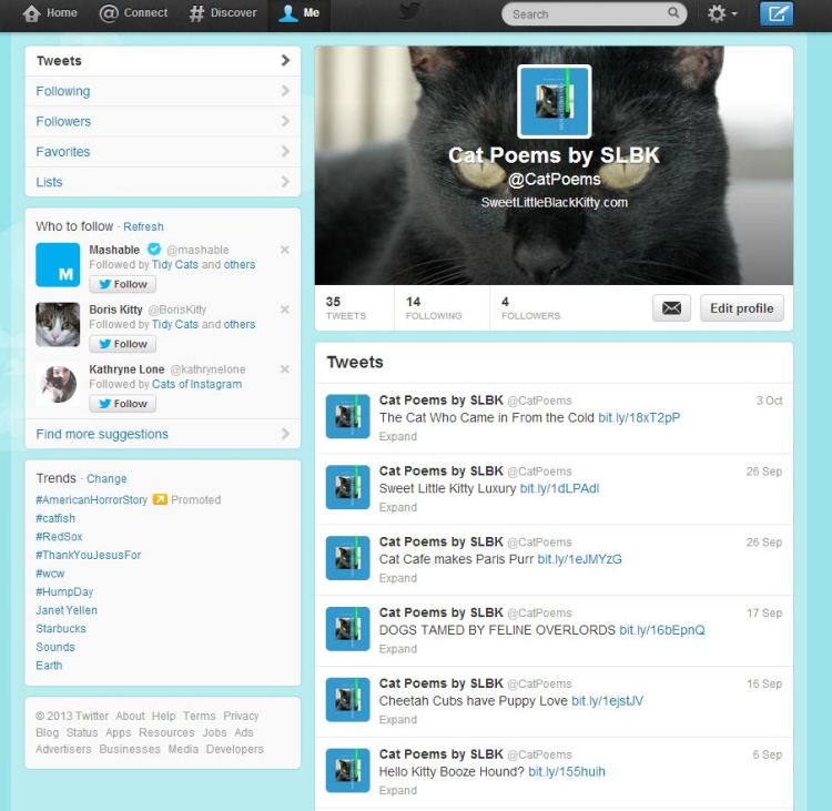 Twitter Account Screen Capture