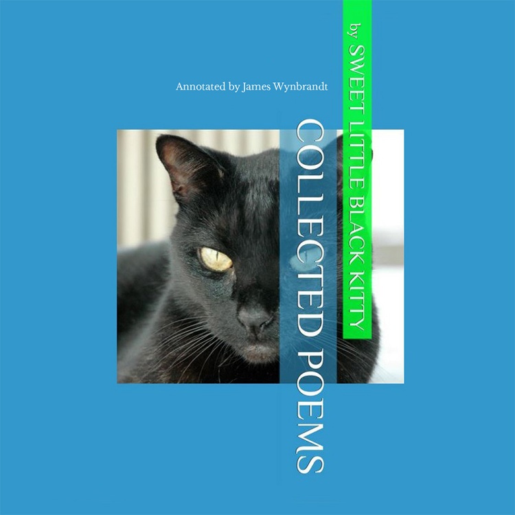 SLBK Collected Poems Vol 1 ~ KDP eBook Front Cover FINAL